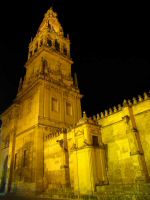 IMG_9346 (Copier).JPG